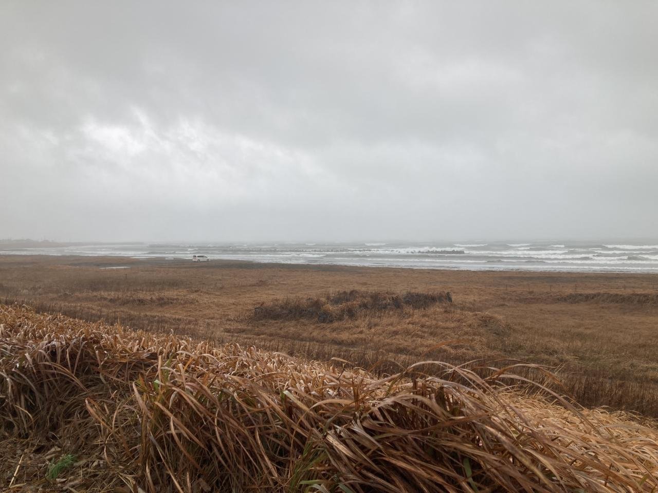 荒れた海